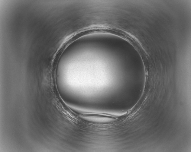 X0000058771168200509301036