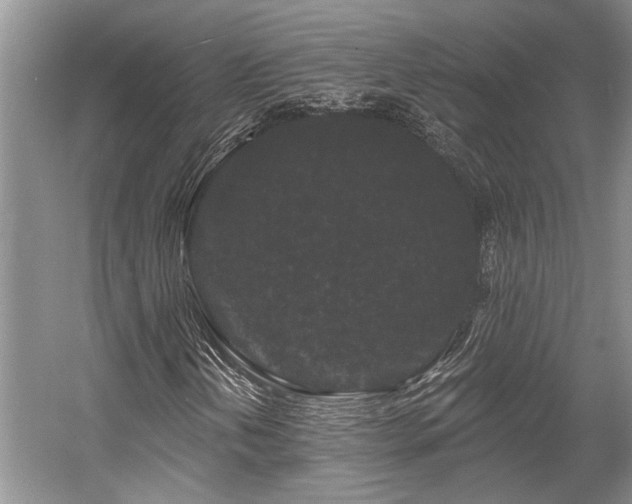 X0000058771202200509301035