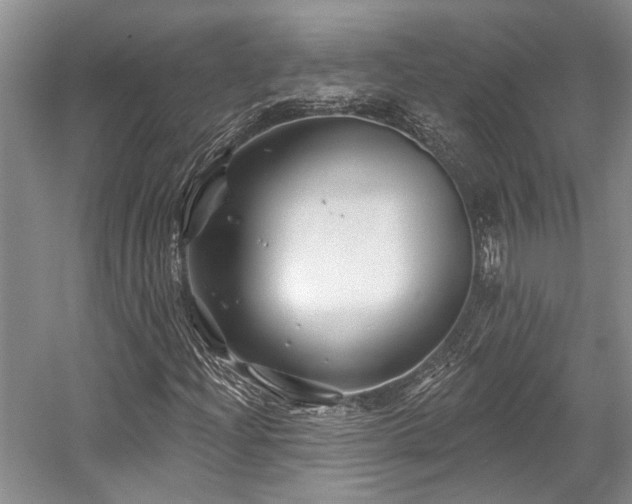 X0000058771204200509301035