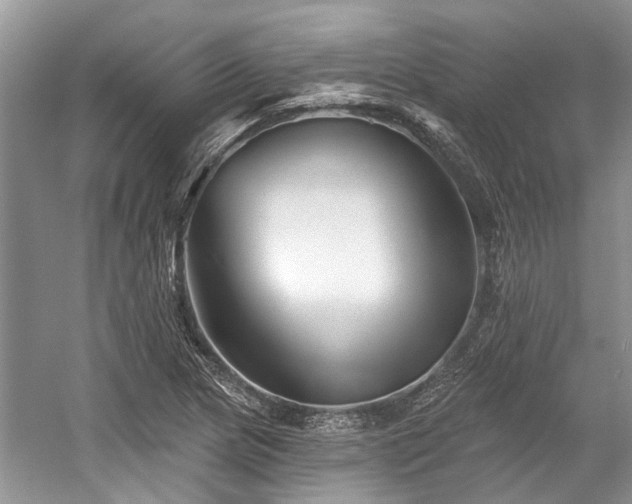 X0000058771217200509301035