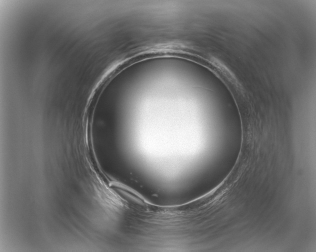 X0000058771224200509301035