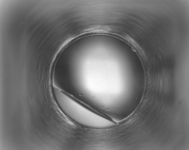 X0000058771240200509301035