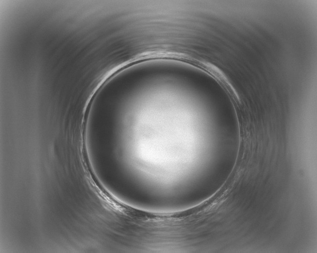 X0000058771244200509301036