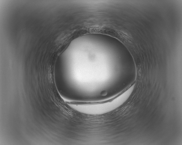X0000058771252200509301035