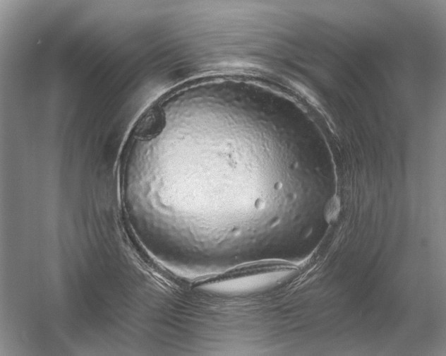 X0000058771275200509301034