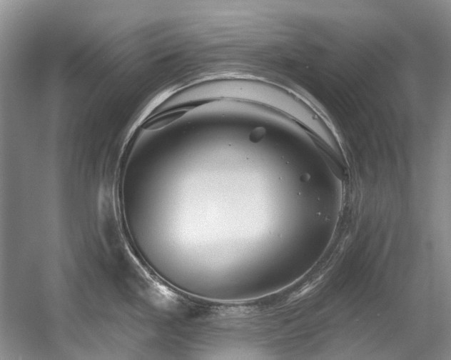 X0000058771293200509301034