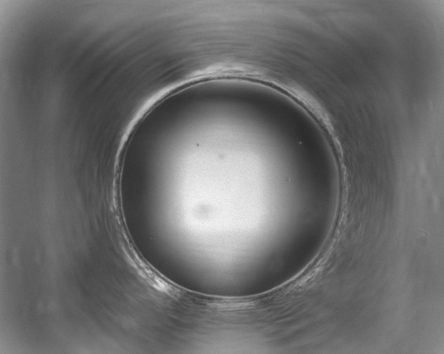 X0000058771296200509301034