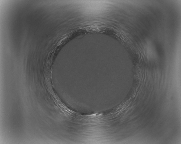 X0000058771297200509301033