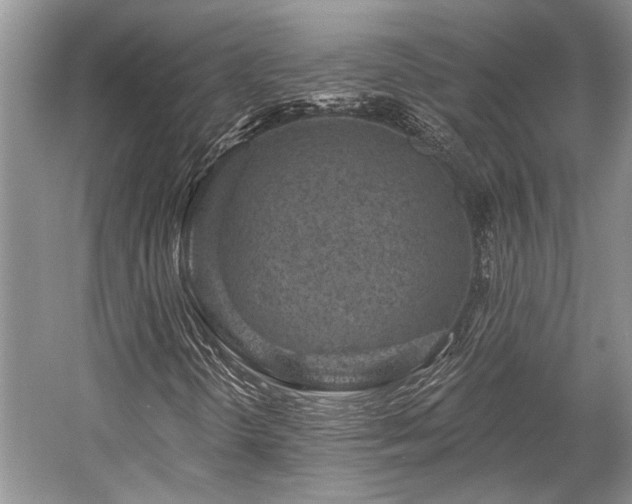 X0000058771298200509301033
