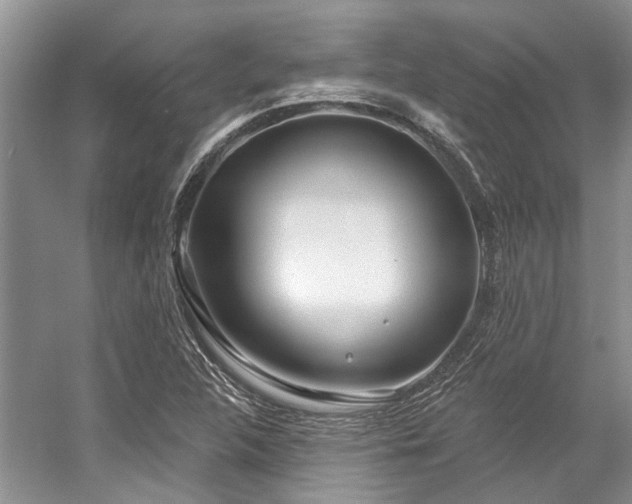 X0000058771312200509301033
