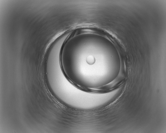 X0000058771317200509301034