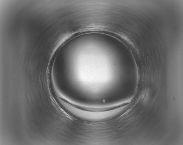 X0000058771325200509301034