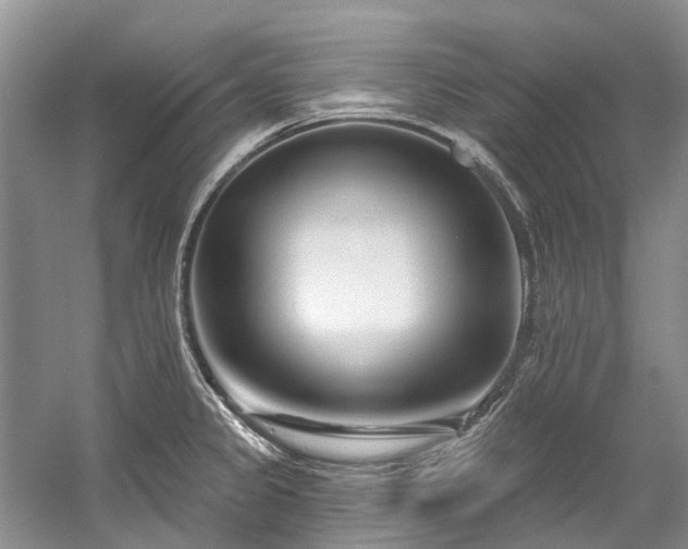 X0000058771333200509301034