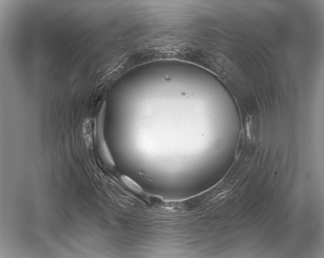 X0000058771347200509301033