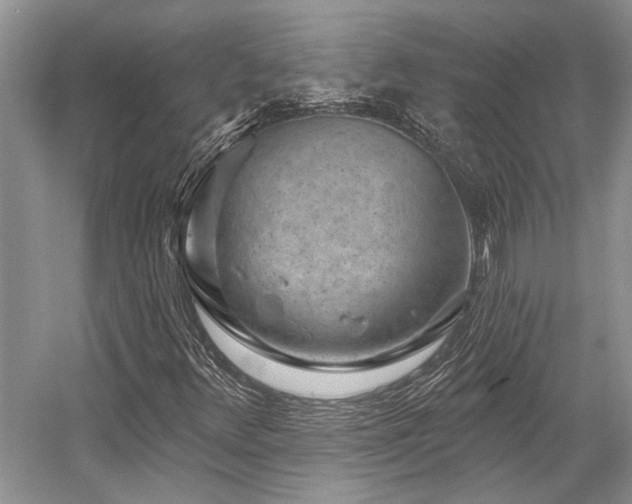 X0000058771348200509301033