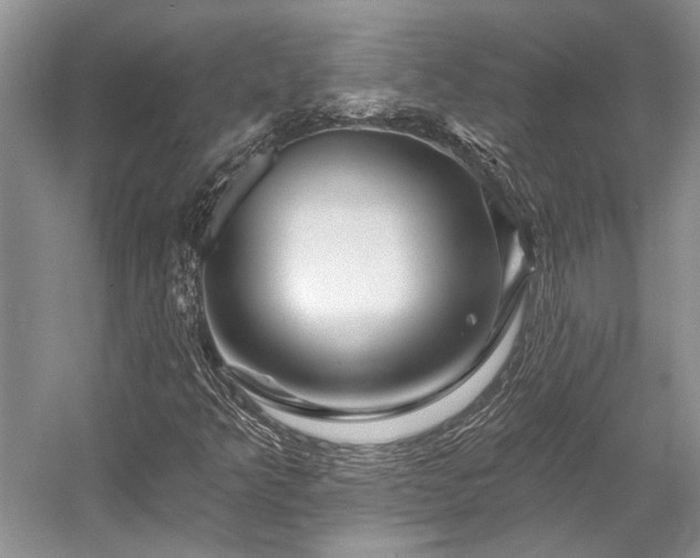 X0000058771349200509301033