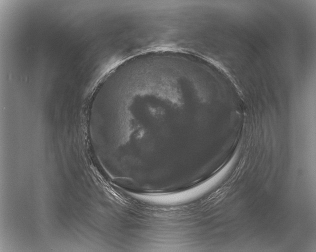 X0000058771359200509301033