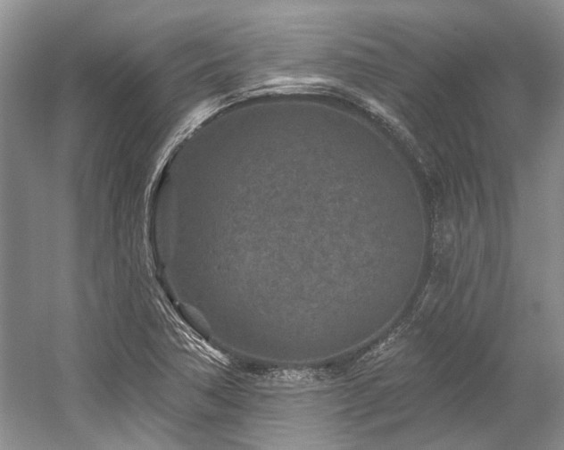 X0000058771362200509301033
