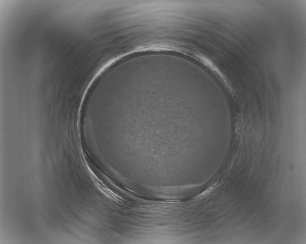 X0000058771372200509301033