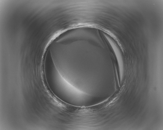 X0000058771373200509301033