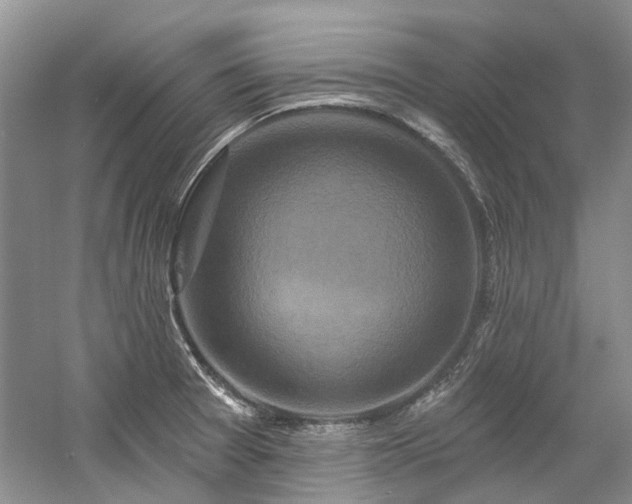 X0000058771377200509301033