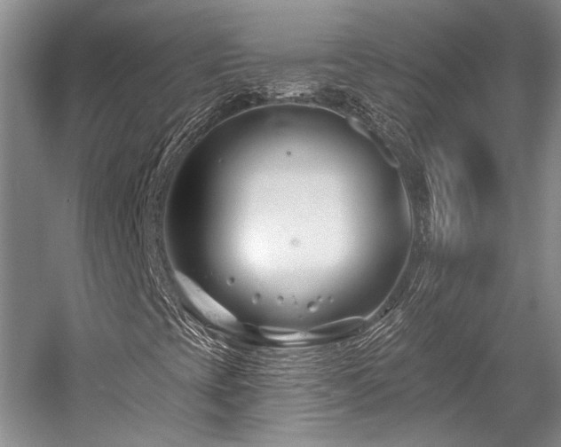 X0000058771393200509301032