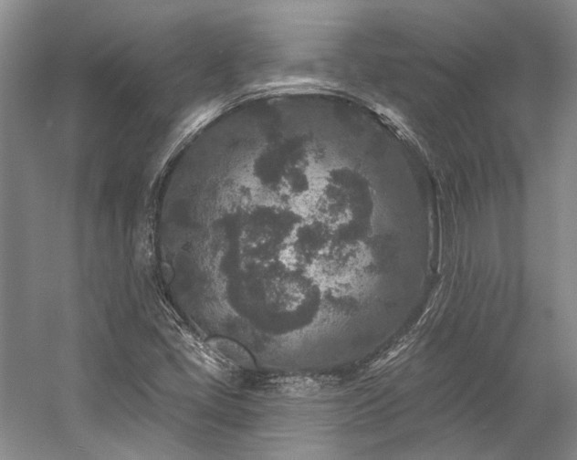 X0000058771405200509301032