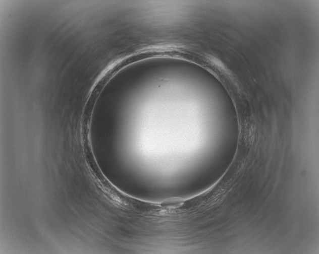 X0000058771412200509301032