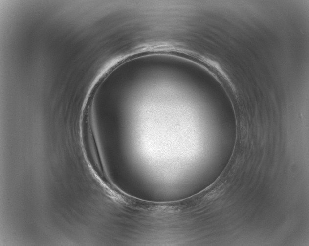 X0000058771424200509301032