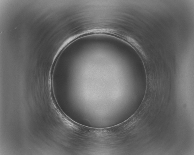X0000058771428200509301032