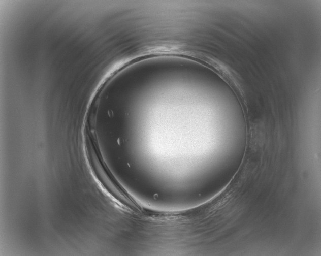 X0000058771432200509301032