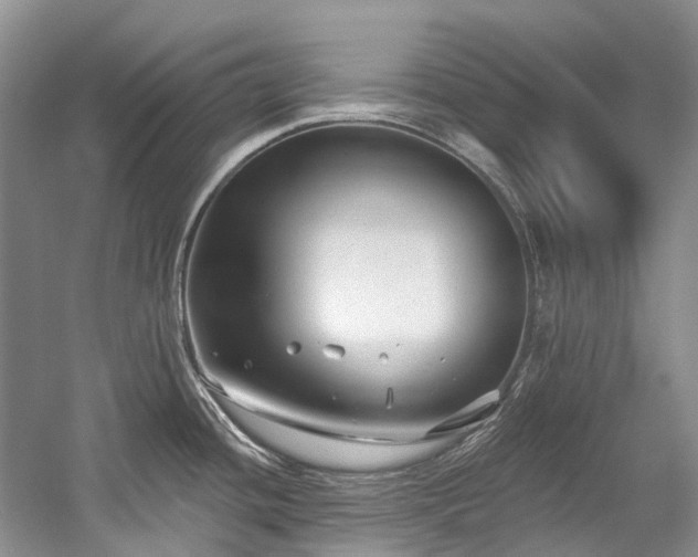 X0000058771436200509301032