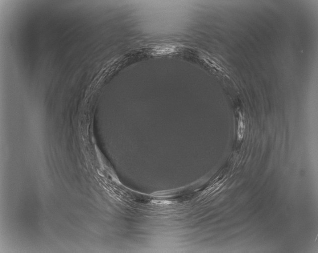 X0000058771441200509301032