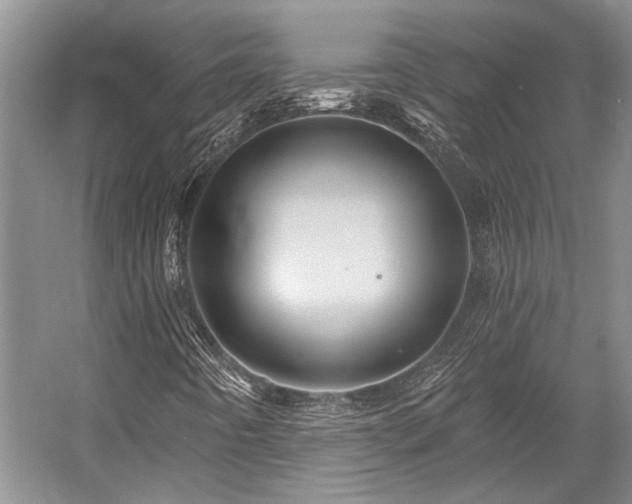 X0000058771442200509301032