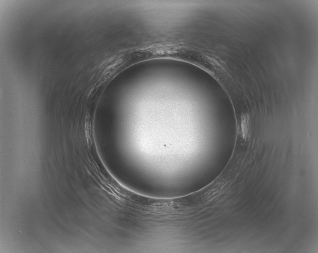 X0000058771444200509301031
