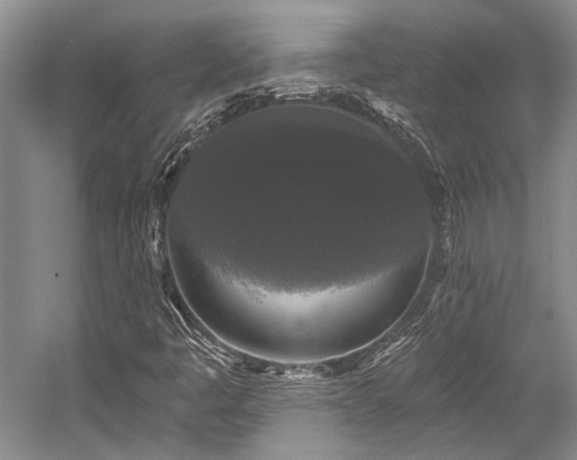 X0000058771445200509301031