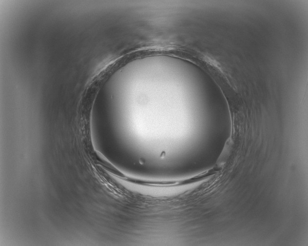 X0000058771448200509301031
