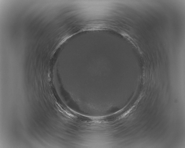 X0000058771449200509301031