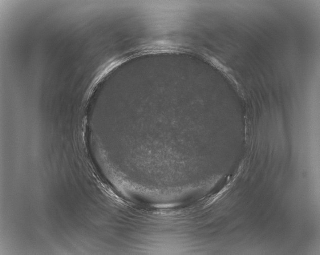 X0000058771453200509301031