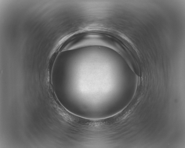 X0000058771461200509301031