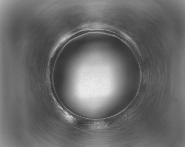 X0000058771464200509301031