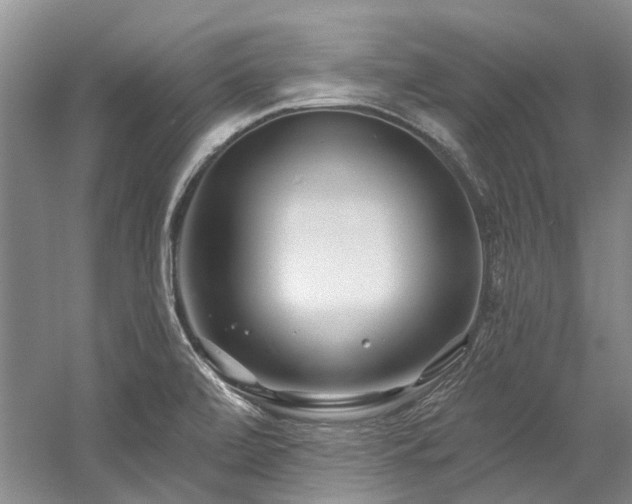 X0000058771472200509301031