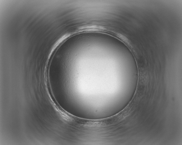 X0000058771474200509301031