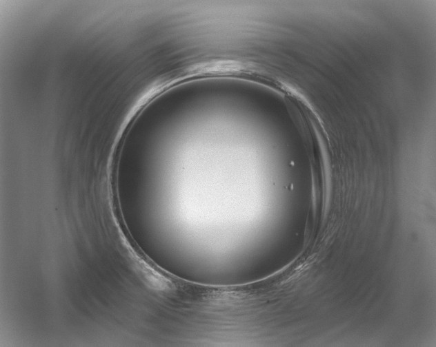 X0000058771475200509301031
