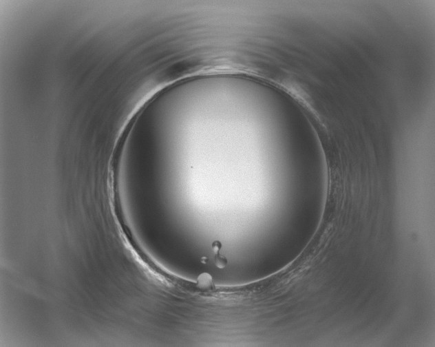 X0000058771476200509301031