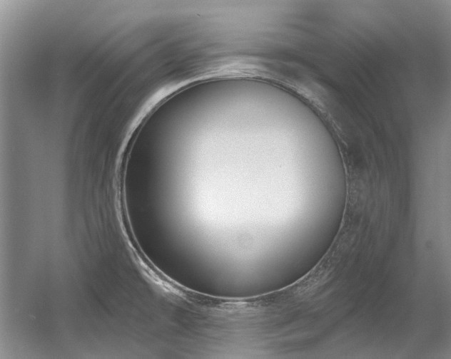 X0000058771478200509301031