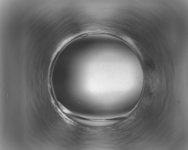 X0000058771485200509301031