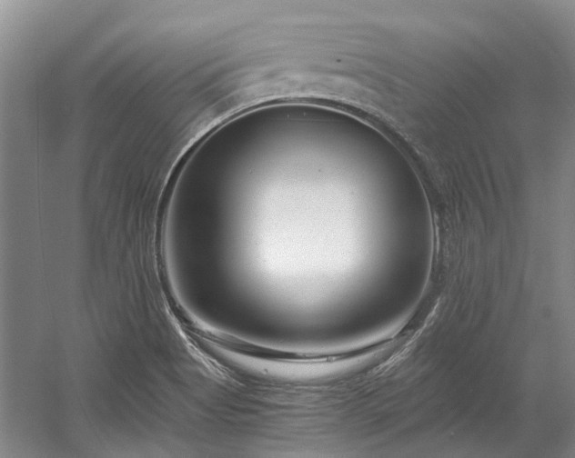 X0000058771513200509301030