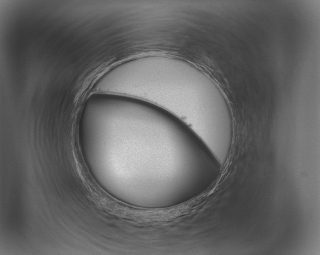 X0000058770001200510031058