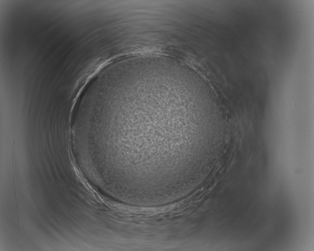 X0000058770002200510031058